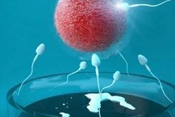 淄博市妇幼保健院做三代试管婴儿成功率高不高？什么因素可以影响到试管成功率