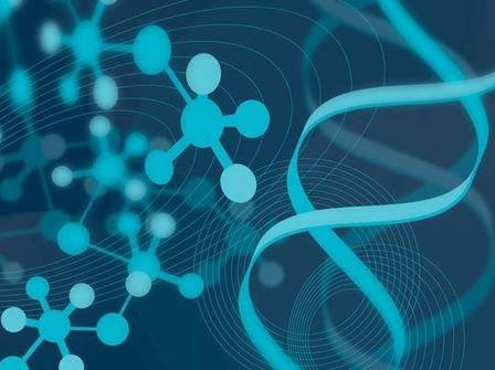 重度宫腔粘连在六安市做试管婴儿靠谱吗，重度宫腔粘连试管婴儿成功率多少！