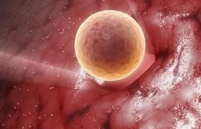 2026牙克石市最新男性陪产假有多少天？试管婴儿可以增加产假吗？